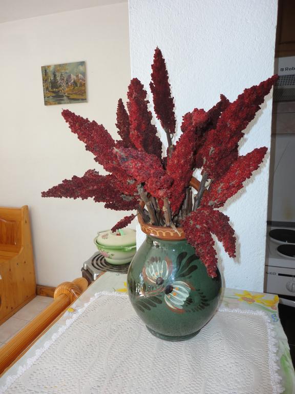 Guest House Astra Arbanasi Room photo